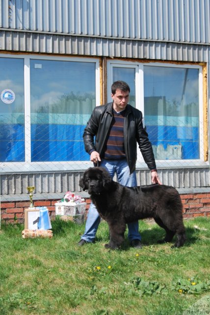 Фотография № 96473