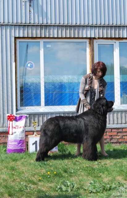 Фотография № 96476