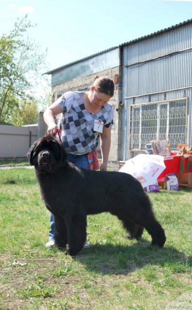 Фотография № 96486