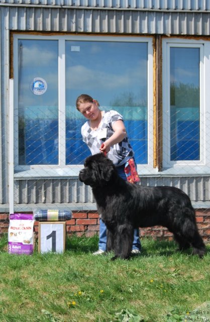 Фотография № 96487