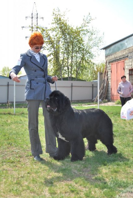 Фотография № 96491