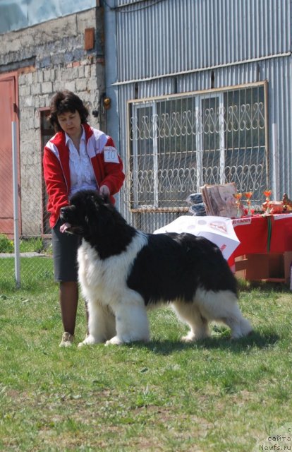 Фотография № 96495