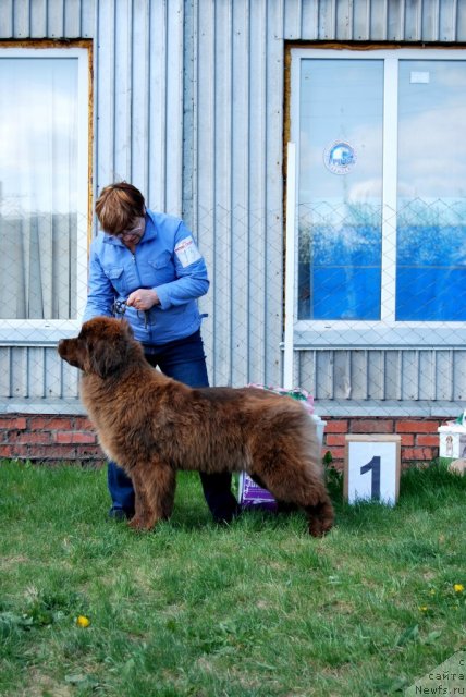 Фотография № 96499