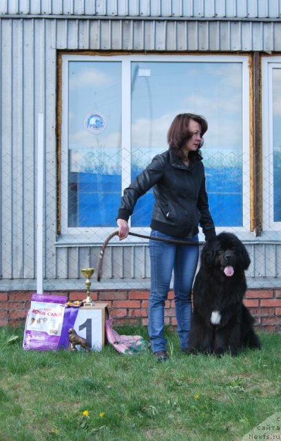 Фотография № 96500