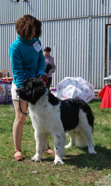 Фотография № 96501