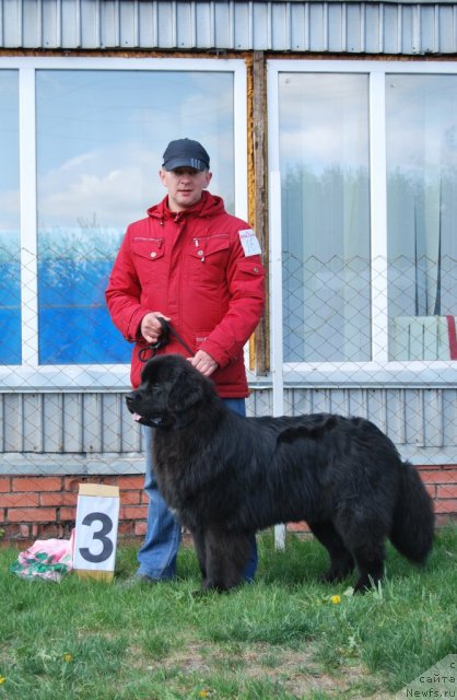 Фотография № 96503