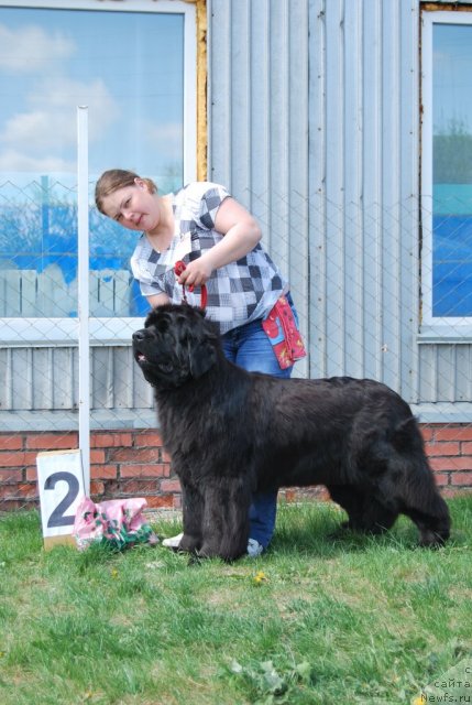 Фотография № 96513