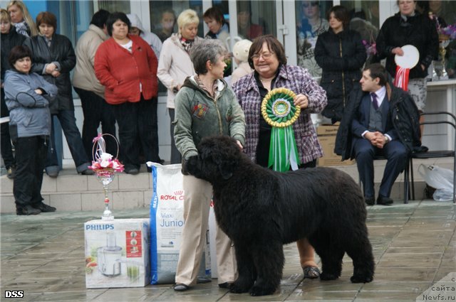 Фотография № 96540