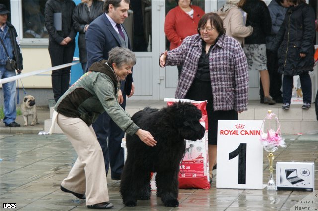 Фотография № 96543