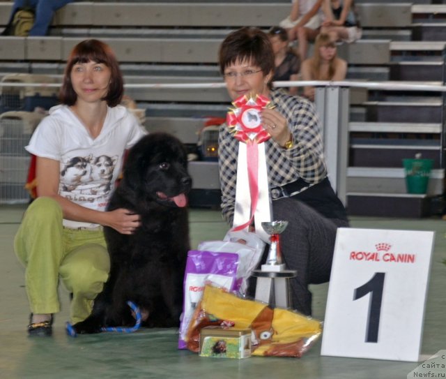 Фотография № 96564