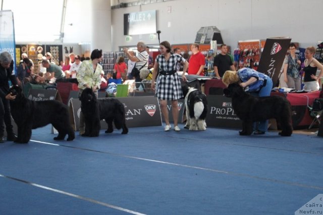 Фотография № 96567