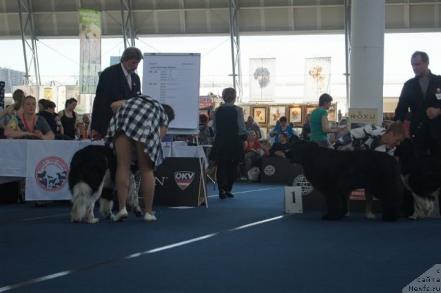 Фотография № 96569