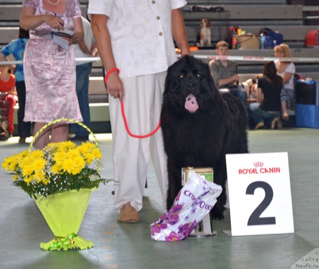 Фотография № 96572