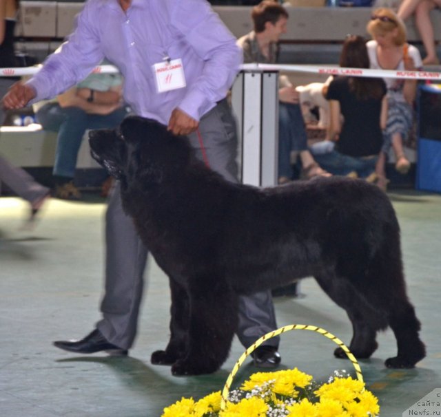 Фотография № 96575