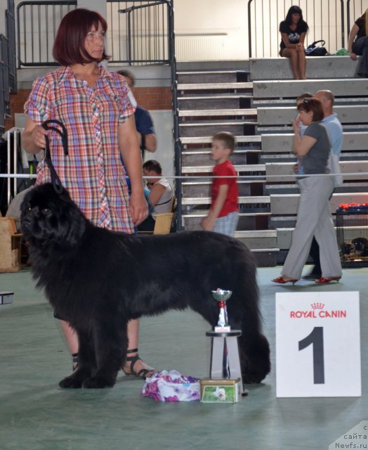 Фотография № 96577