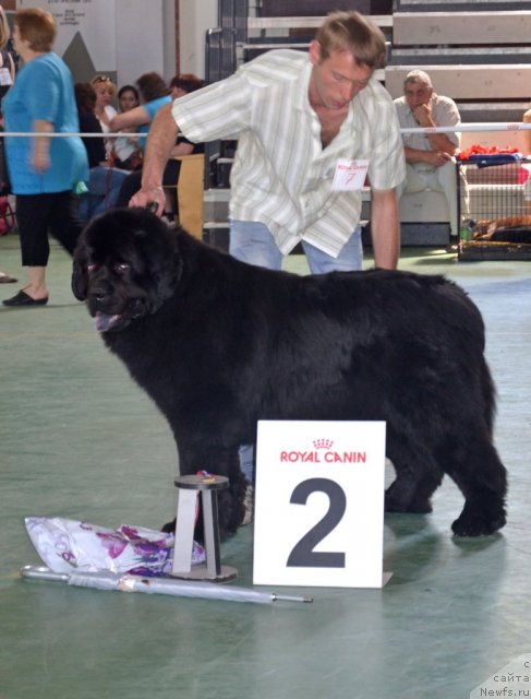 Фотография № 96581