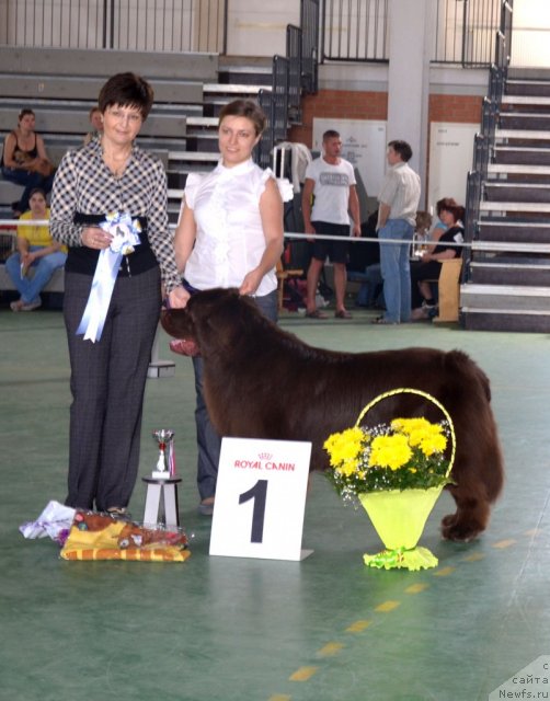 Фотография № 96582