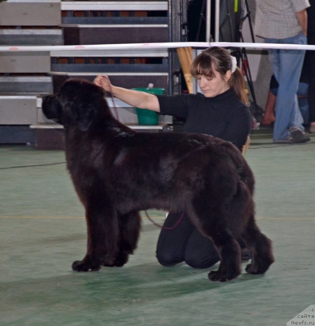 Фотография № 96585