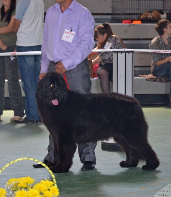 Фотография № 96586