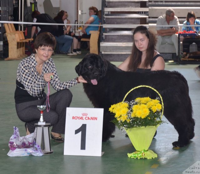 Фотография № 96591