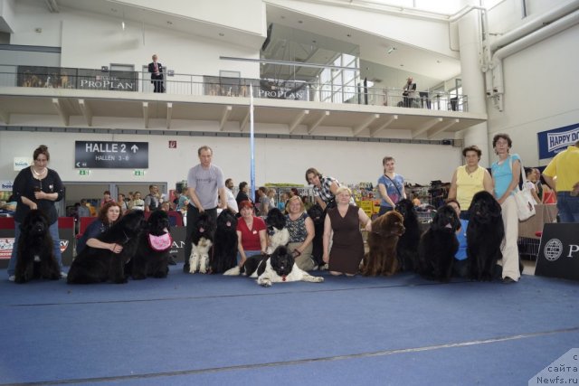 Фотография № 96636