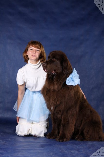 Фотография № 96670