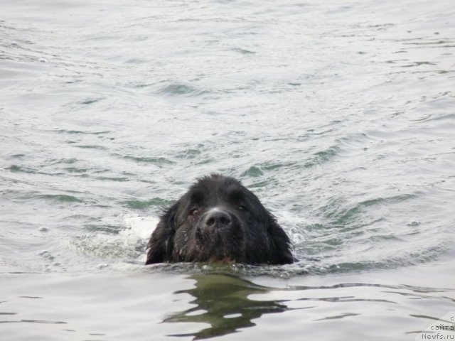 Фотография № 96678