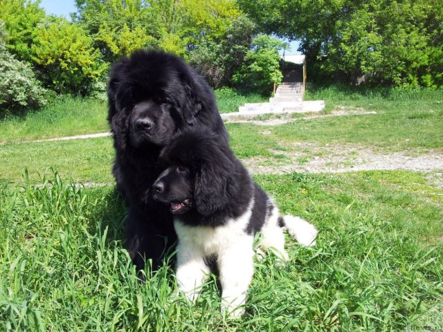 Фотография № 96687