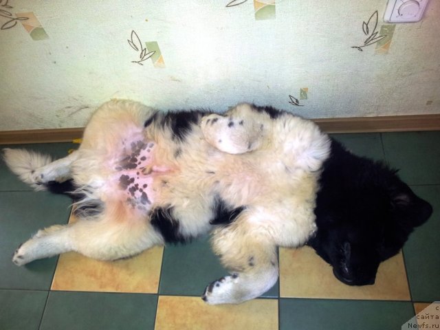 Фотография № 96689