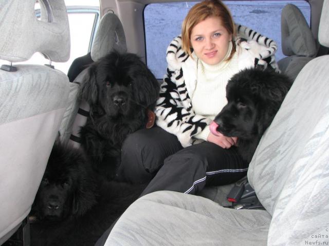 Фотография № 9674