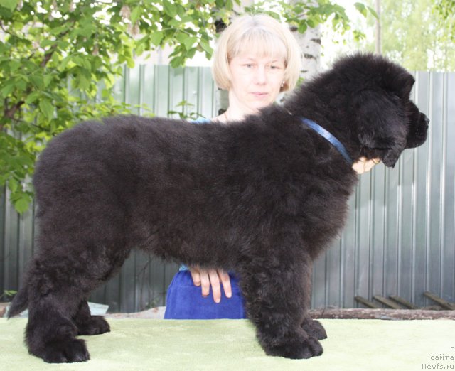 Фото: Бегущая по волнам Центэр оф Аттракшион