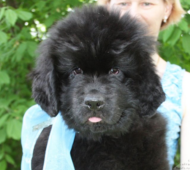 Фото: Бегущая по волнам Царевна БУДУР