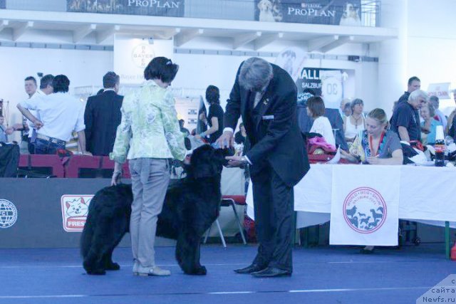 Фотография № 96781