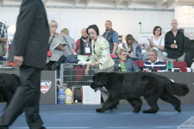 Фотография № 96782