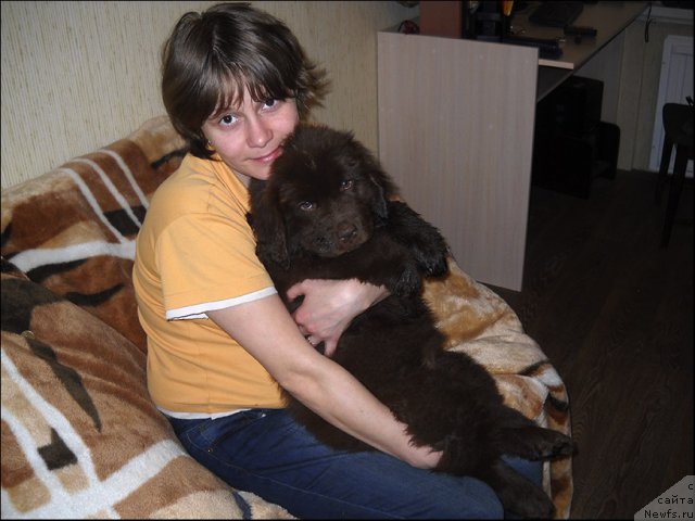 Фотография № 96847