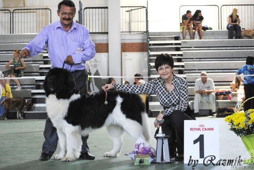 Фотография № 96853