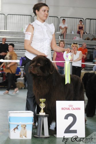 Фотография № 96863