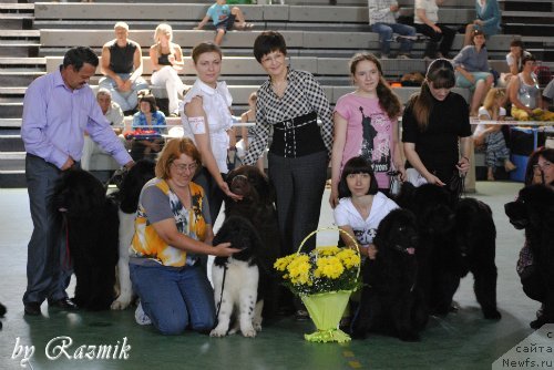 Фотография № 96865