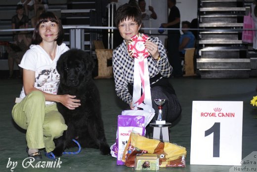 Фотография № 96873