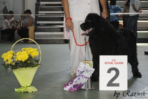 Фотография № 96875