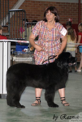 Фотография № 96881