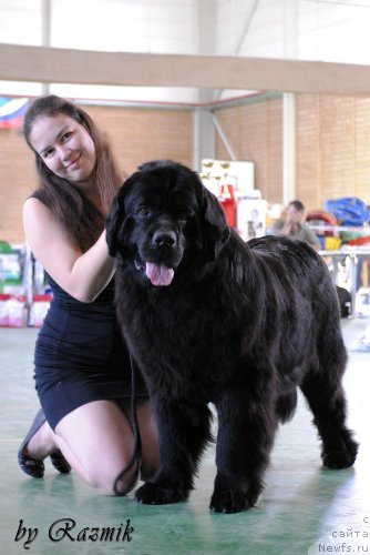 Фотография № 96882