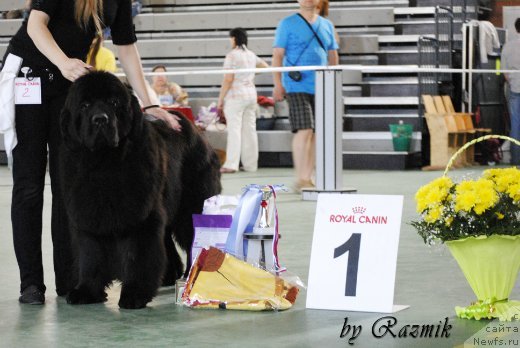 Фотография № 96884