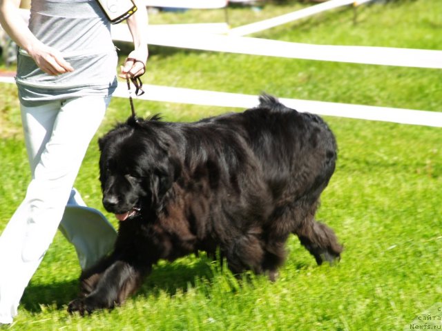 Фотография № 96901