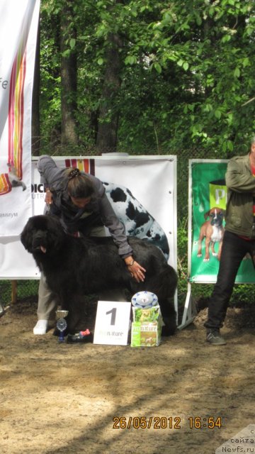 Фотография № 96907