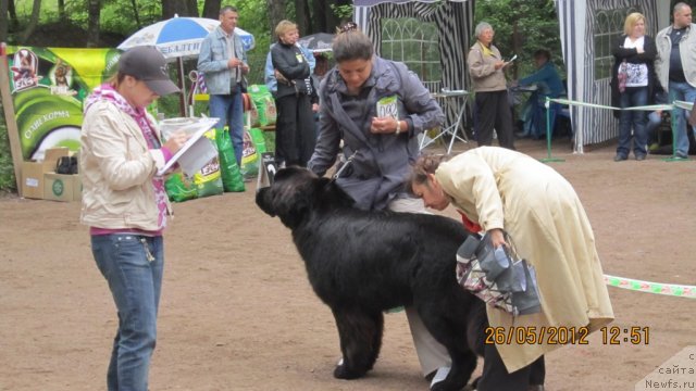 Фотография № 96908