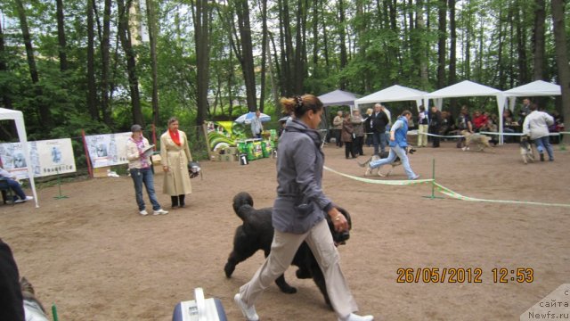 Фотография № 96912