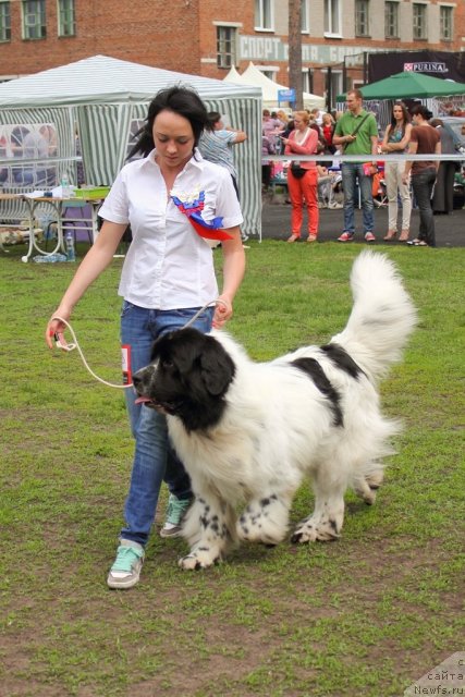 Фотография № 96922