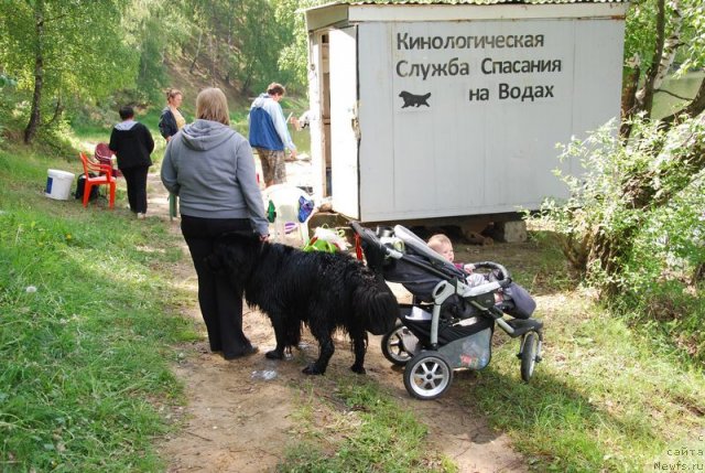 Фотография № 96963