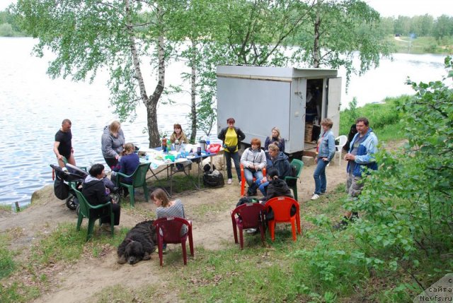 Фотография № 96964